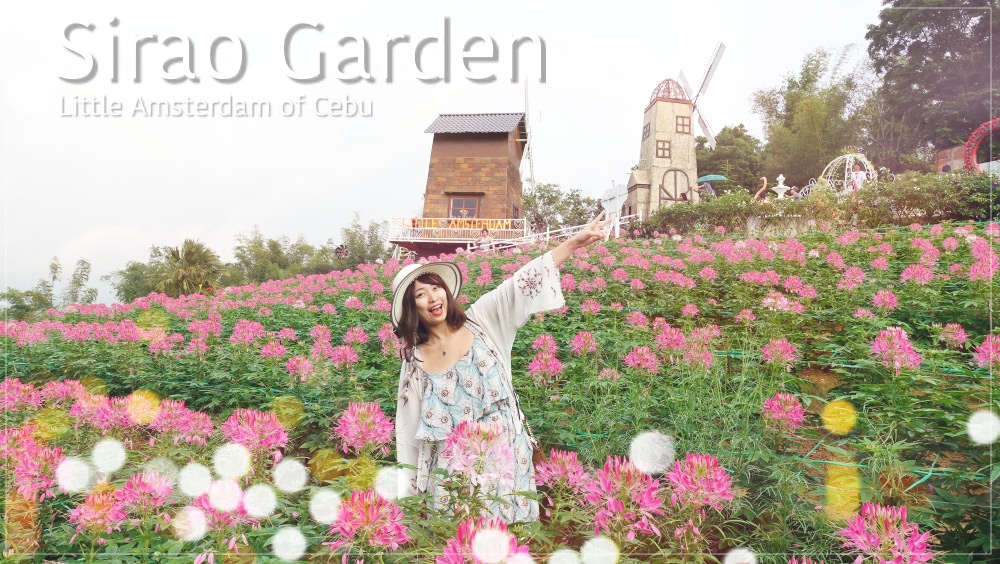 菲律賓 ▌宿霧本島景點：Sirao Garden 天空花園｜宿霧阿姆斯特丹 天氣好就很好拍
